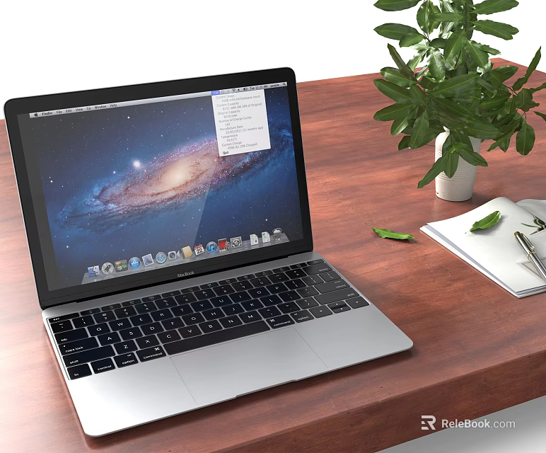 Silver Laptop On Wooden Desk With Galaxy Screen Display Green Plant Notebook And Pen 3d model 