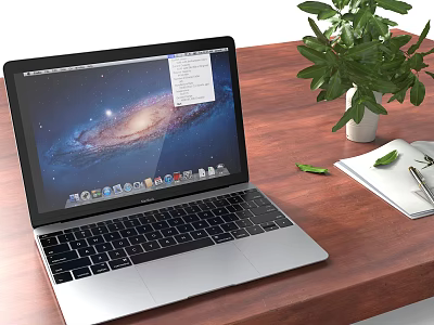 Silver Laptop On Wooden Desk With Galaxy Screen Display Green Plant Notebook And Pen 3d model