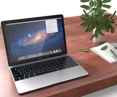 Silver Laptop On Wooden Desk With Galaxy Screen Display Green Plant Notebook And Pen 3d model
