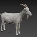 White Goat Standing with Curved Horns in Full Body View on Gray Background