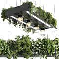 Modern Chandelier Design With Black Frame Glass Shades And Hanging Greenery Plants
