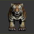 Realistic 3D Tiger Model With Orange Black Stripes Open Mouth And Reflection 3d model