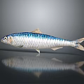Shiny Blue And Silver Fish On Dark Background With Clear Reflection 3d model
