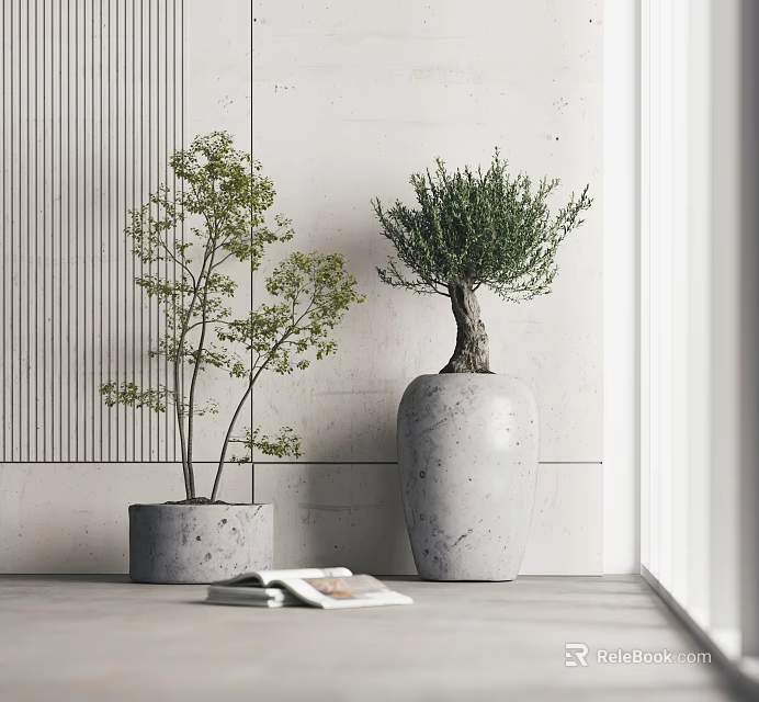 Green Leaf Bonsai Potted Plants In Gray Square And White Textured Cylindrical Pots 3d model 