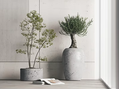 Green Leaf Bonsai Potted Plants In Gray Square And White Textured Cylindrical Pots 3d model