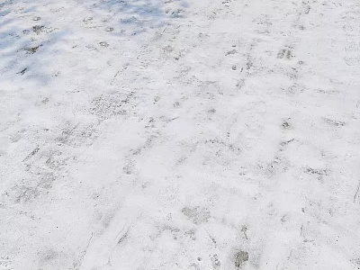 Natural Snowy Ground Surface in Winter Showing Multiple Footprints and Traces 3d model