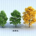 Three Arbor Trees with Green and Yellow Foliage in Landscape