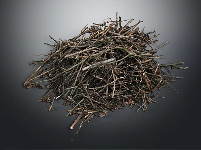 Natural Raw Wood Branches And Twigs Pile For Craft Or Firewood Material 3d model