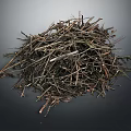 Natural Raw Wood Branches And Twigs Pile For Craft Or Firewood Material