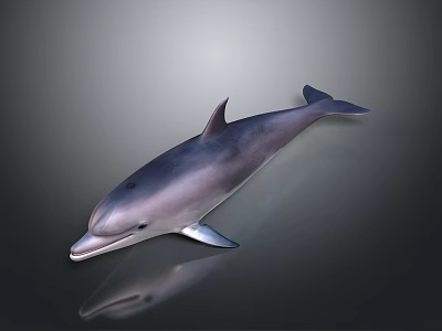 Realistic Marine Dolphin Creature With Shiny Skin And Reflective Surface 3d model
