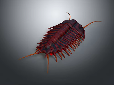 Detailed Red Trilobite With Orange Antennae And Legs On Gray Background 3d model