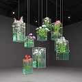 Hanging Glass Decorations With Transparent Cubic Containers Holding Colorful Orchids And Green Plants