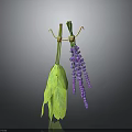 Green Leaf and Purple Lavender Plants Hanging with Gold Hooks on Gray Background