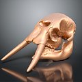 Modern Skull Elephant Skull Elephant Skull Bone Animal Bone 3d model