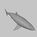 Game and Movie Character Shark 3D Model with Gray Blue Body Open Mouth and Fins