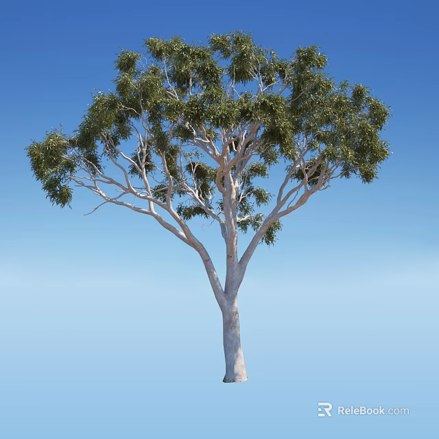 Tall Green Leafy Tree With White Trunk Against Clear Blue Sky 3d model 