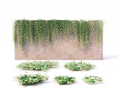 Vines Growing On Concrete Wall With Trailing Plant Clusters On Ground 3d model