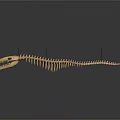 Sharp Toothed Fish Skeleton Display With Black Support Rods On Dark Background