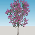 Beautiful Flowering Arbor with Red Blossoms and Green Leaves Under Blue Sky and Green Grass