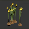 Fresh Onion Bulbs With Green Leaves And Yellow Flowers On Grey Background