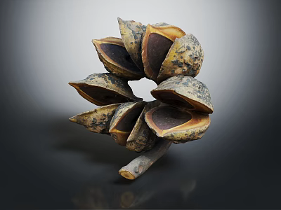 Organic Circular Arrangement Of Brown Textured Pod Like Segments With Central Hollow 3d model
