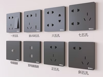 Gray WELL Switch Panels with USB Ports Computer Sockets Dual Control and Various Socket Types 3d model