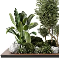 Lush Natural Tree Planter With Various Trees Green Plants Decorative Stones And Wooden Base