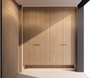 Modern Entryway Hallway Interior Design With Wooden Cabinets And Natural Light 3d model