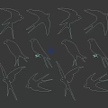 Flying Animals Swallow Silhouettes Featuring Blue And White Designs In Different Flying Poses