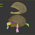 Detailed 3D Anatomical Rendering of Animal Organ Structure with Skeleton Shell and Fur