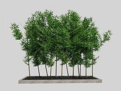 Lush Green Bonsai Potted Plants In Rectangular Container With Neat Arrangement 3d model
