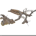 Natural Dry Plant Branches With Various Sizes And Twisted Shapes 3d model