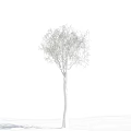 Bare Branch Tree Standing Against Clear Blue Sky With White Clouds