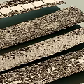 Various Garden Path Paving Designs Featuring Stone Brick and Textured Patterns