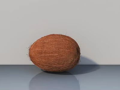 Ripe Brown Coconut Placed On Gray Surface With White Background 3d model