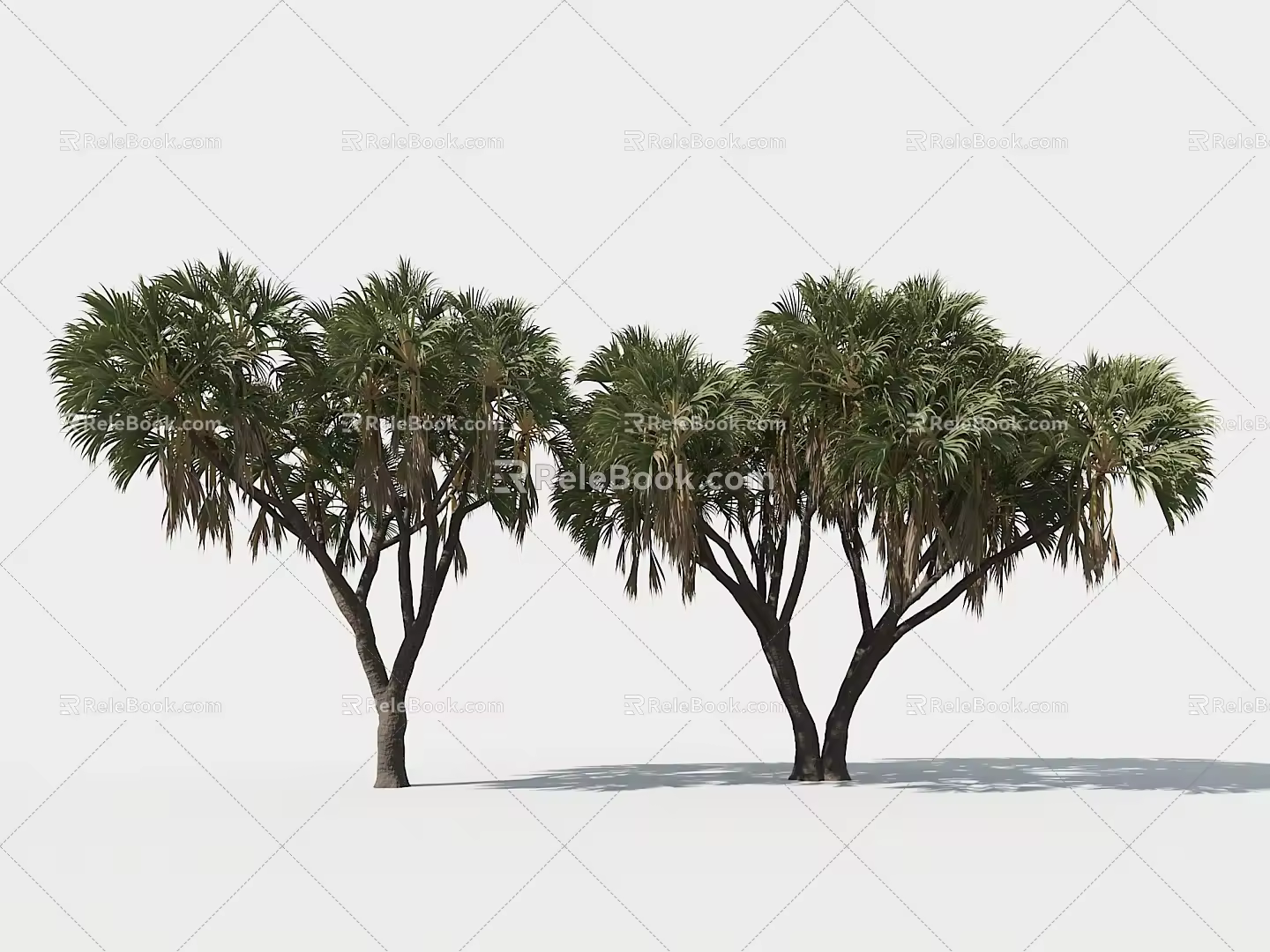 Palm Tree Landscape Tree 3d model