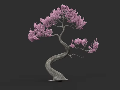 Decorative Arbor Tree With Curved Trunk And Pink Blossoms In Elegant Shape 3d model