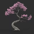Decorative Arbor Tree With Curved Trunk And Pink Blossoms In Elegant Shape