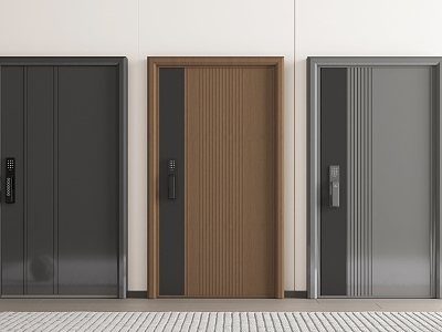 Modern security door model