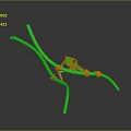 Frog Poison Frog Game Frog Reptile Cold Blooded Animal Reptile 3d model