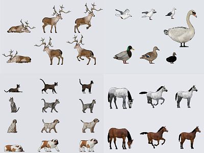 Modern Animal Combination model