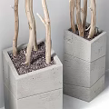 Bonsai Potted Plants With Slender Branches In Square Concrete Pots For Indoor Decor