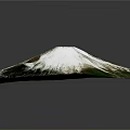 3D Garden Landscape Design with Natural Green Vegetation and White Hilltop Terrain