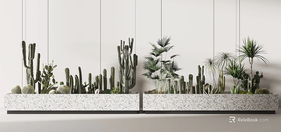 Bonsai Potted Cactus And Palm Like Plants In White Terrazzo Planters Against White Panel Walls 3d model 