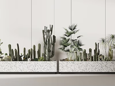 Bonsai Potted Cactus And Palm Like Plants In White Terrazzo Planters Against White Panel Walls 3d model