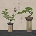 Oriental Style Bonsai Trees With Lush Green Foliage On Wooden Stands