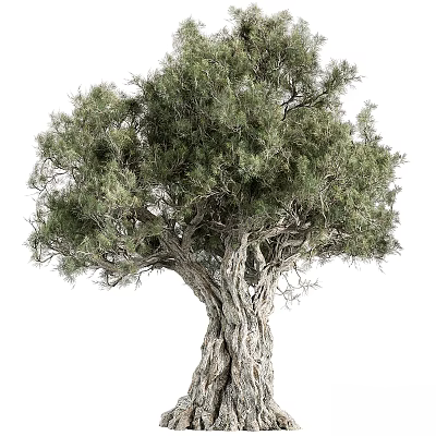 Modern Tree Landscape Tree Trees 3d model Modern Tree Landscape Tree Trees 3d model