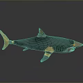 Black Shark Decorative Model With Gold Accents And Reflection On Dark Surface