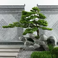 Traditional Chinese Courtyard Garden With Gray Tiled Roof Carved Walls Pine Tree And Stone