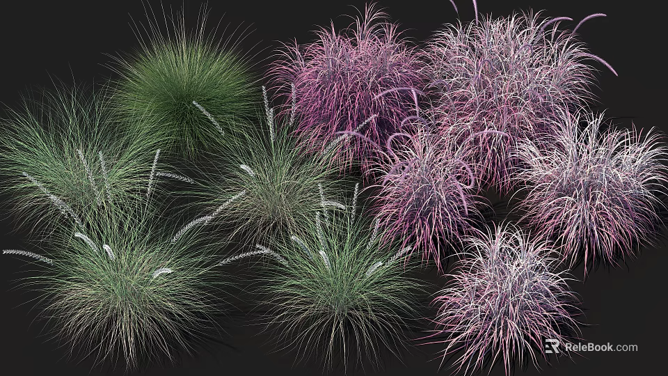 Diverse Green and Purple Ornamental Grasses for Lush Garden Landscaping 3d model 
